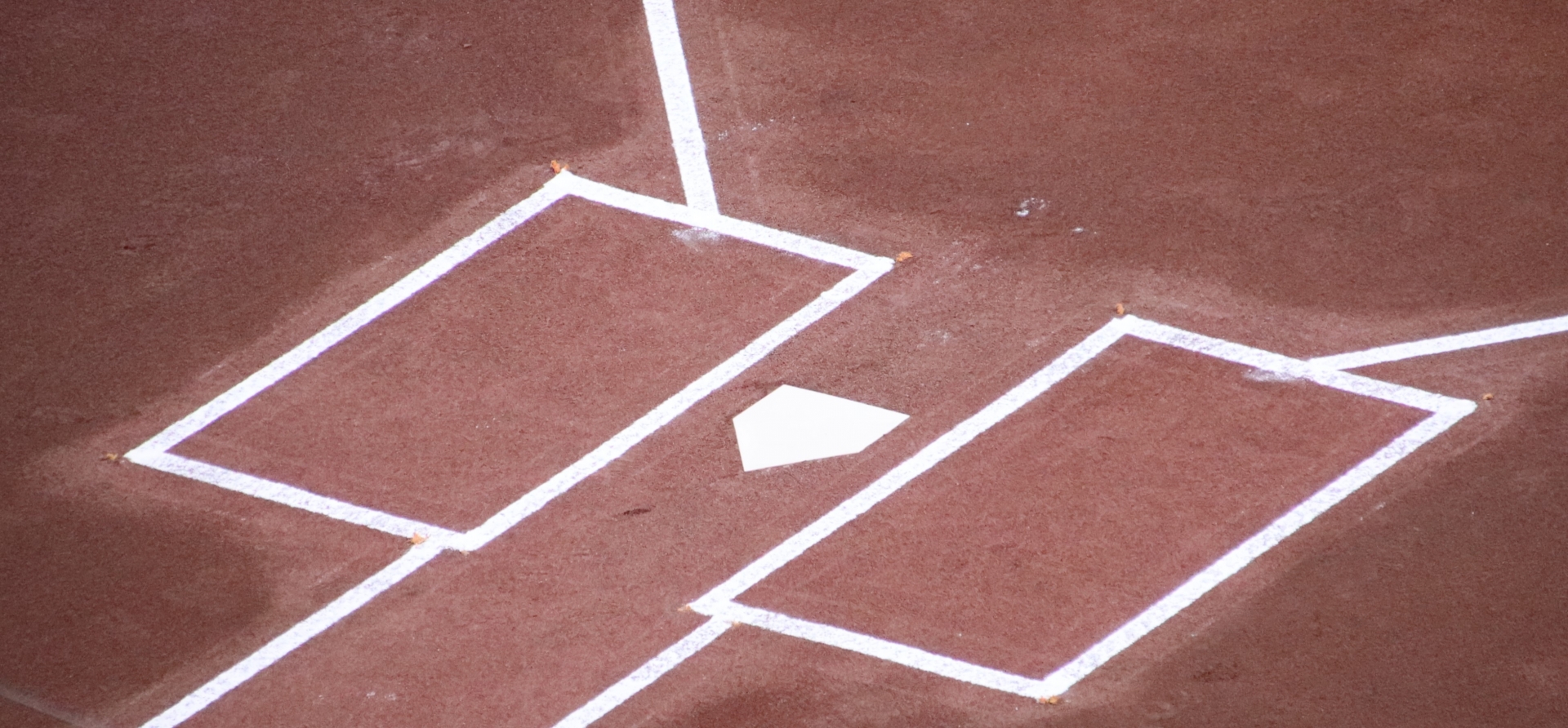 DH制とは?なぜセ・リーグは導入しない?パ・リーグとの根本的な違いを徹底解説