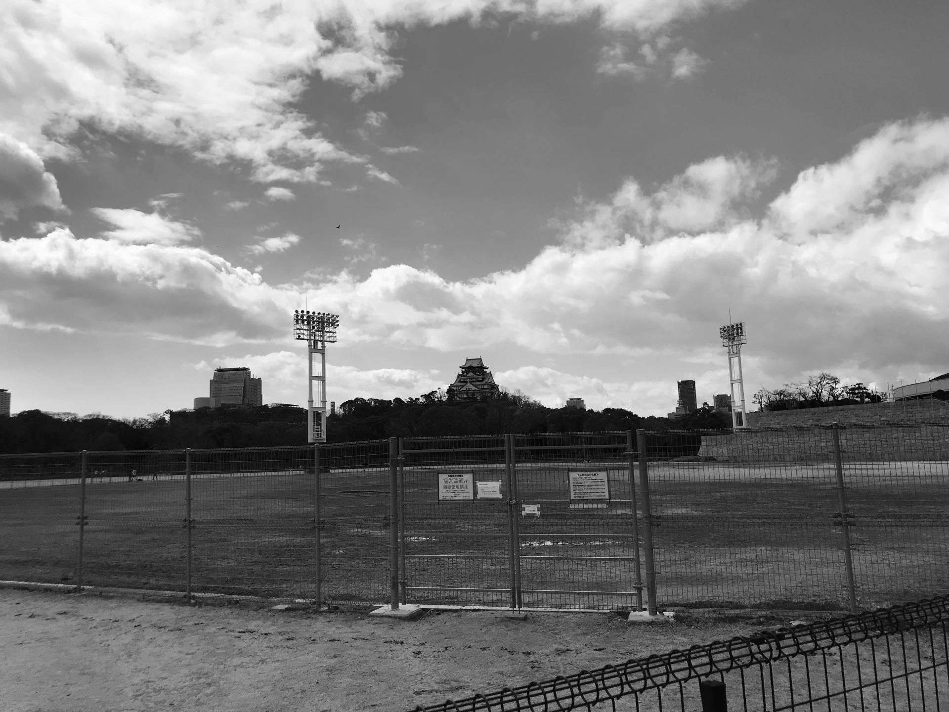 プロ野球の名手から学ぶ送りバントの極意