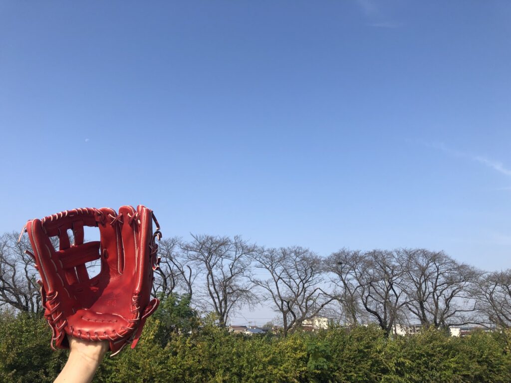 外野フライと内野フライとの違いはどこ?見分け方を解説